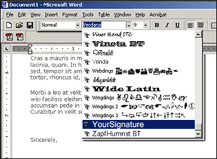 microsoft word font names
